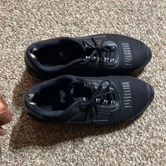 Puma - Picture 1 of 3